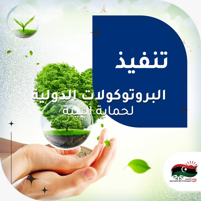 تنفيذ البرتوكولات